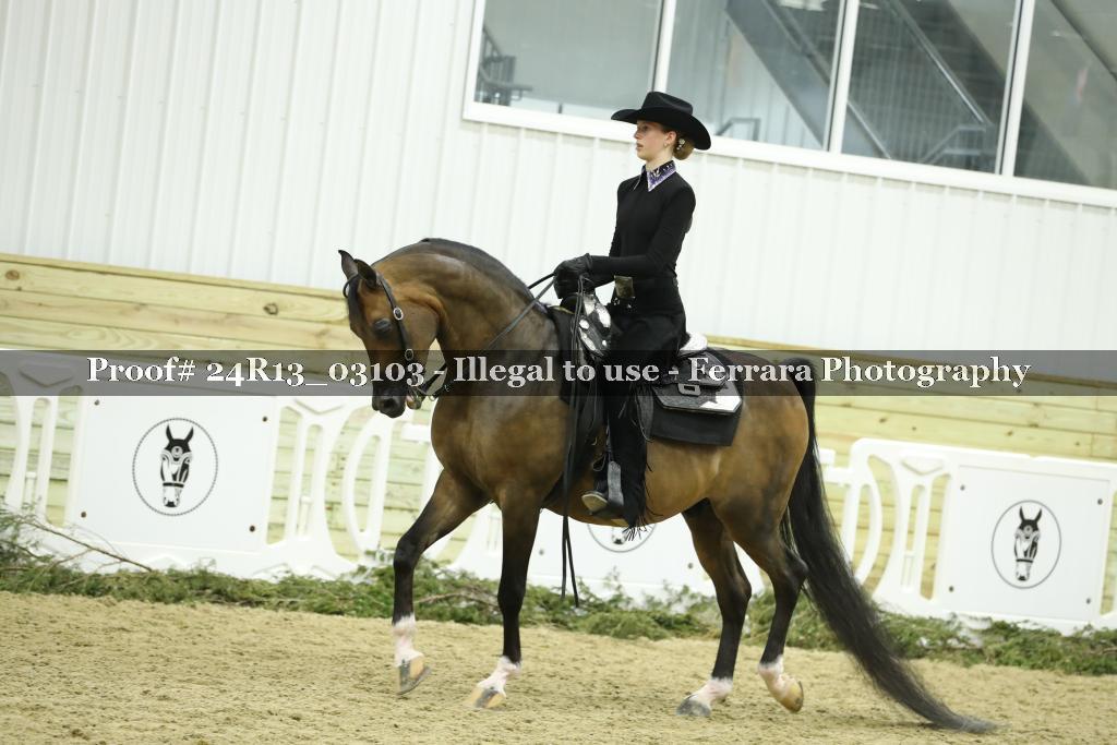 Proof 24R13_03103