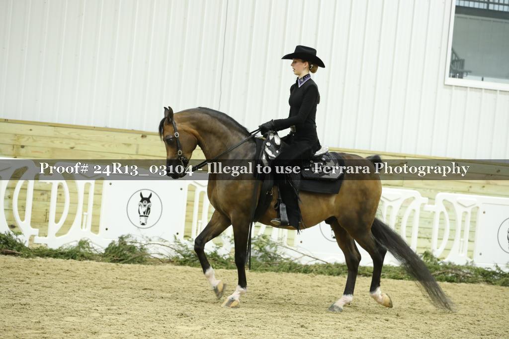 Proof 24R13_03104