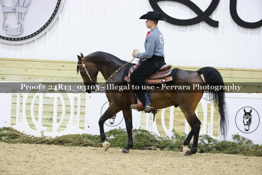 Proof 24R13_03105