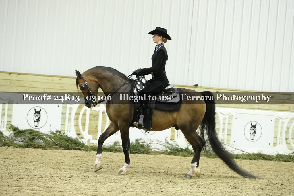 Proof 24R13_03106