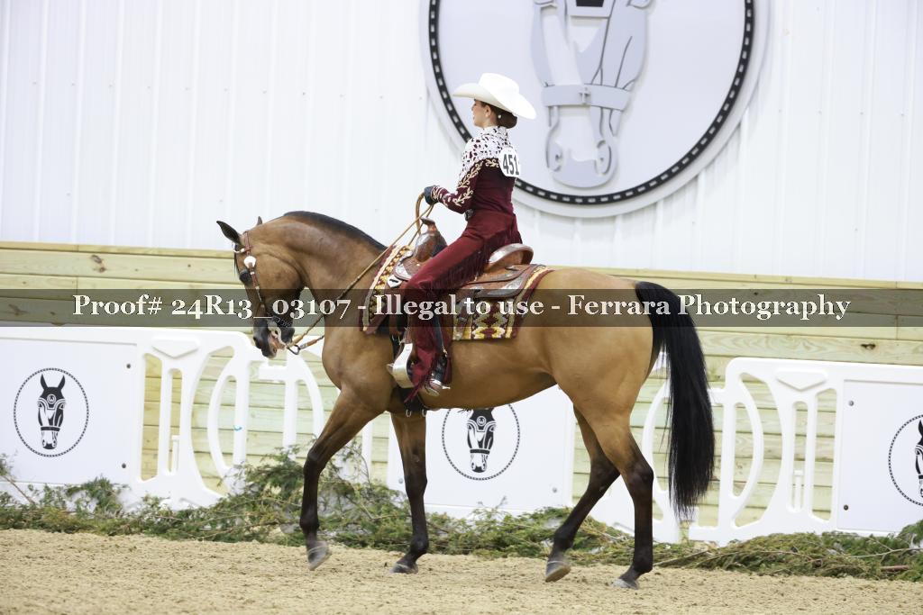 Proof 24R13_03107