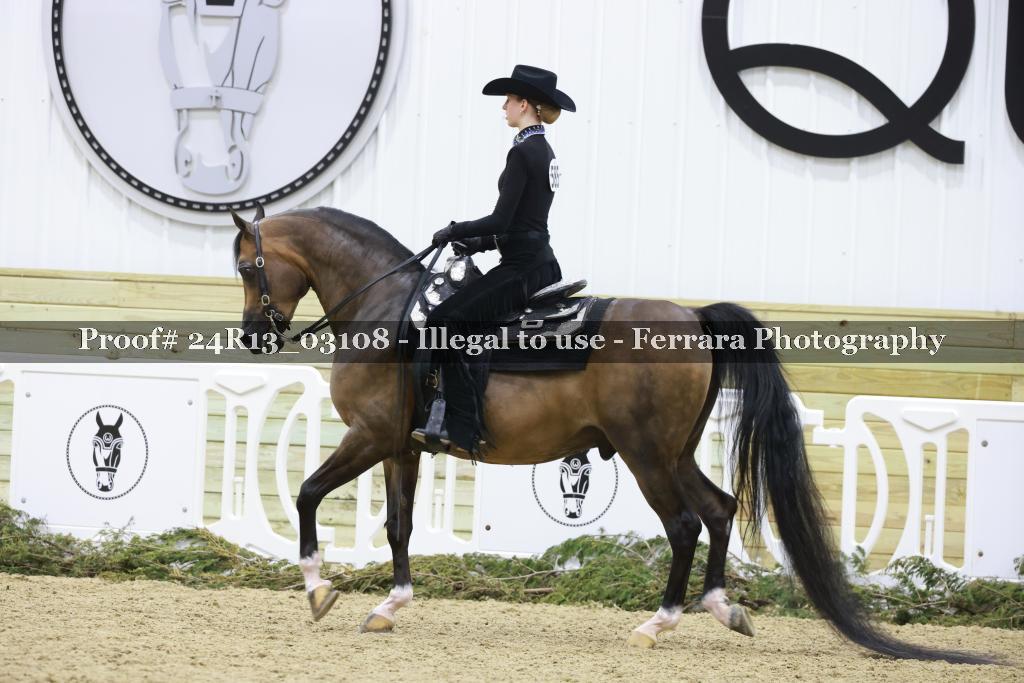 Proof 24R13_03108