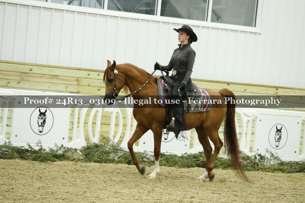 Proof 24R13_03109