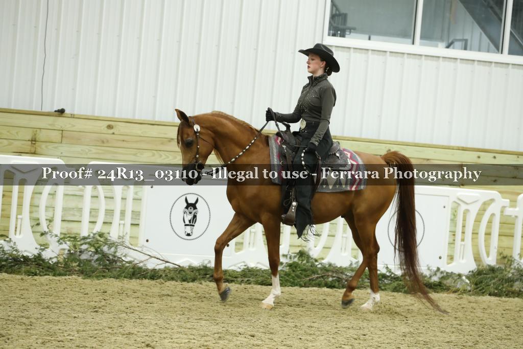 Proof 24R13_03110
