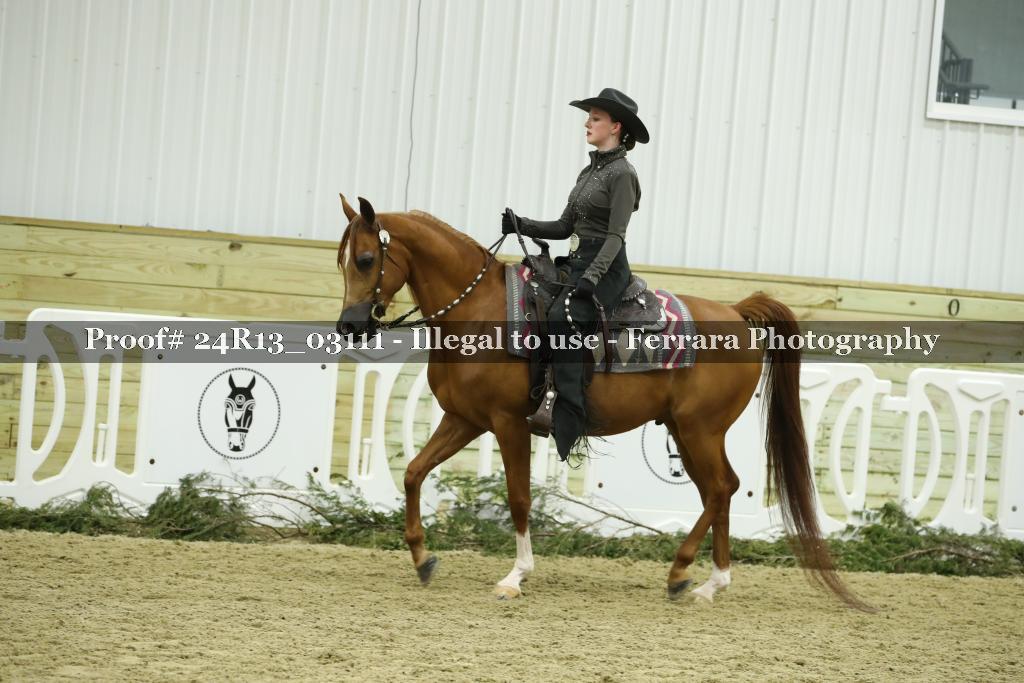 Proof 24R13_03111