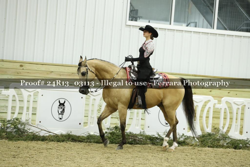 Proof 24R13_03113