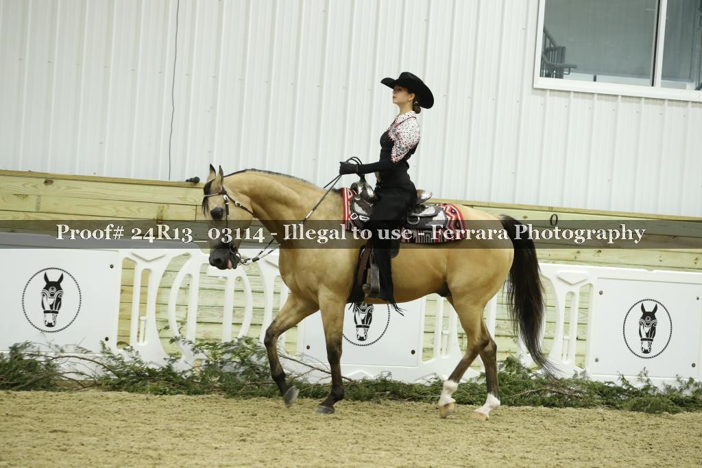 Proof 24R13_03114