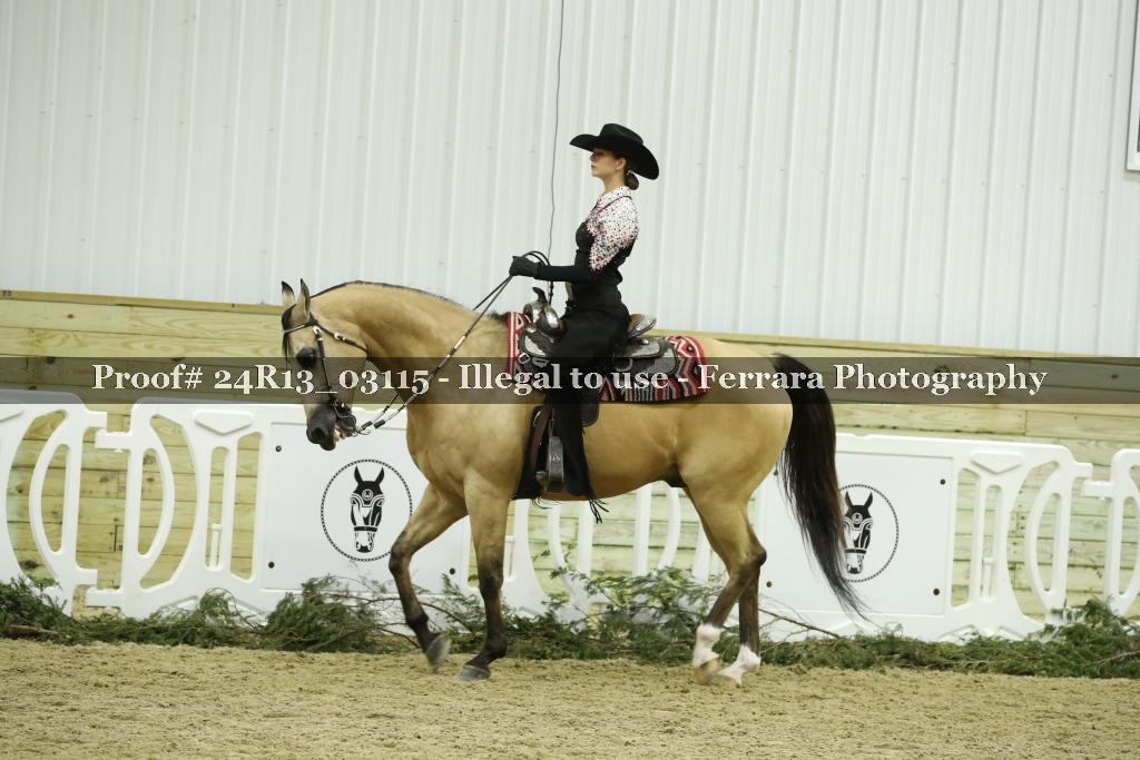 Proof 24R13_03115