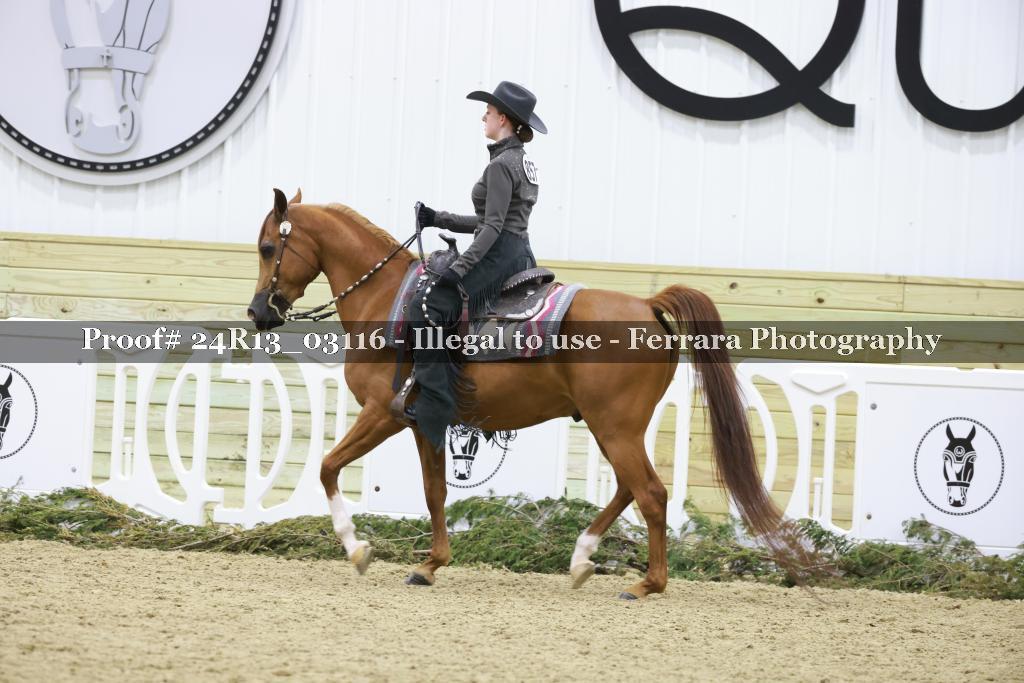 Proof 24R13_03116