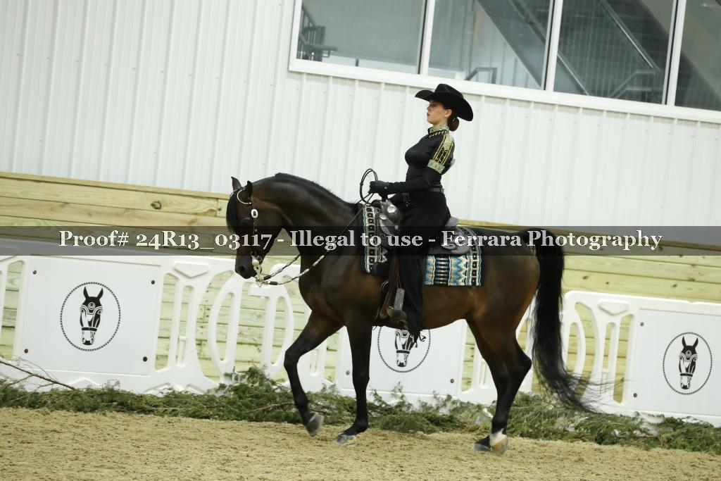 Proof 24R13_03117