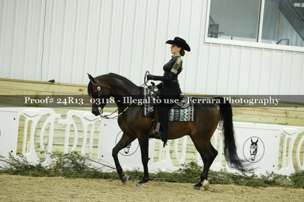 Proof 24R13_03118