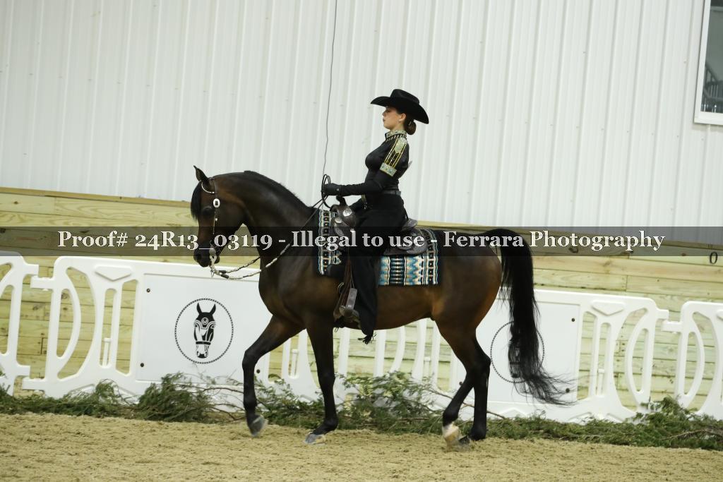 Proof 24R13_03119