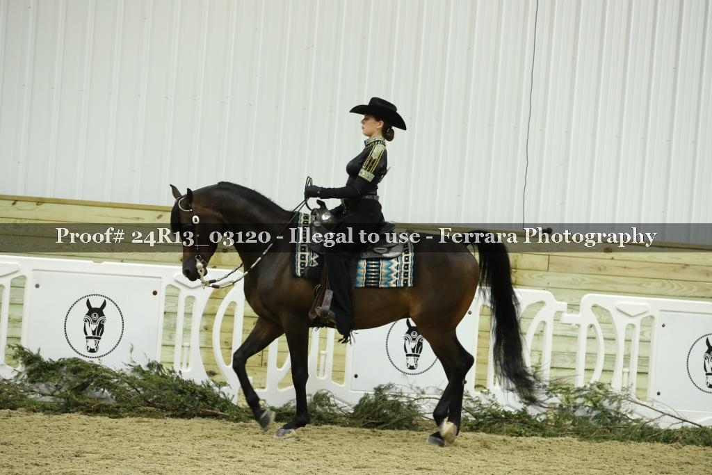 Proof 24R13_03120