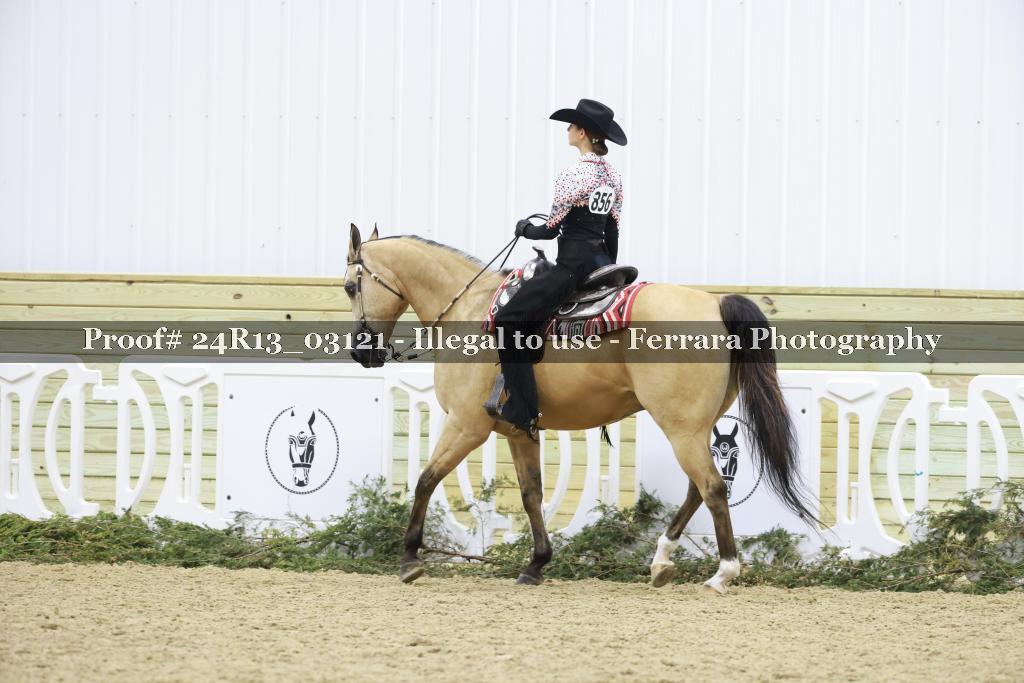 Proof 24R13_03121
