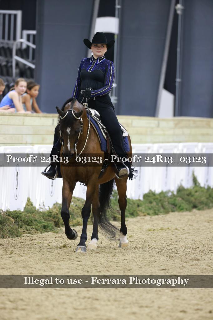 Proof 24R13_03123