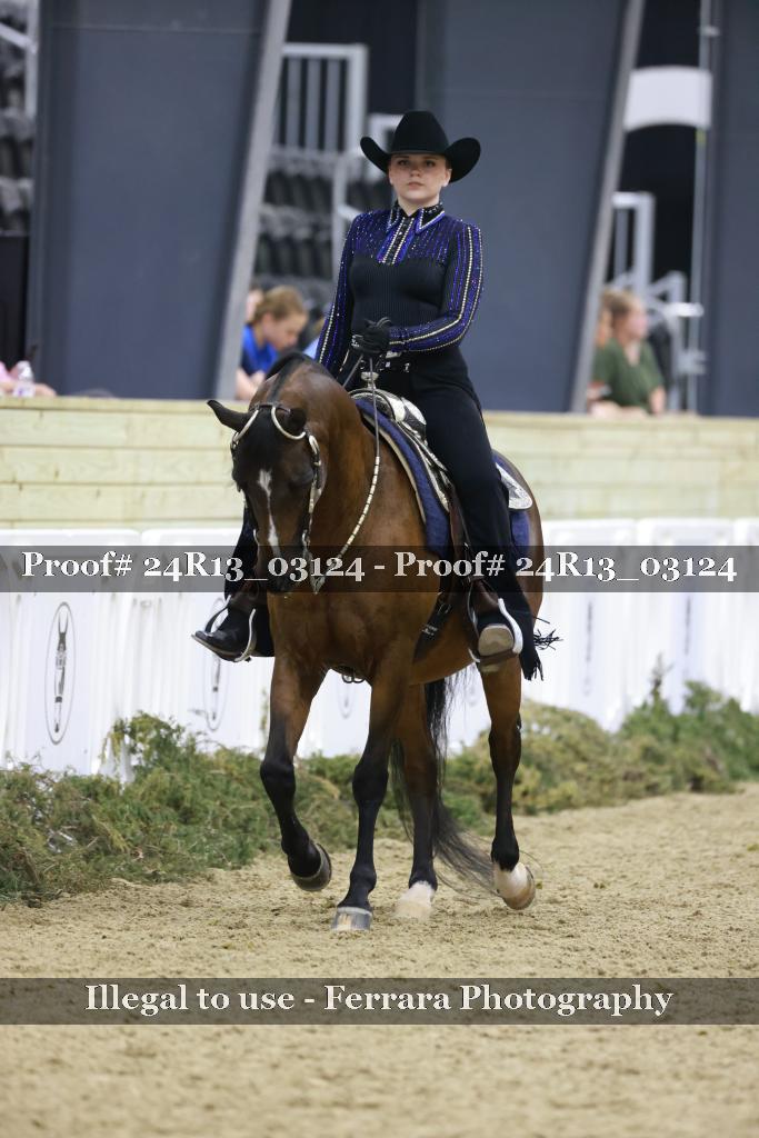 Proof 24R13_03124