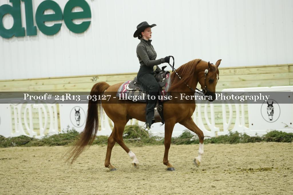 Proof 24R13_03127