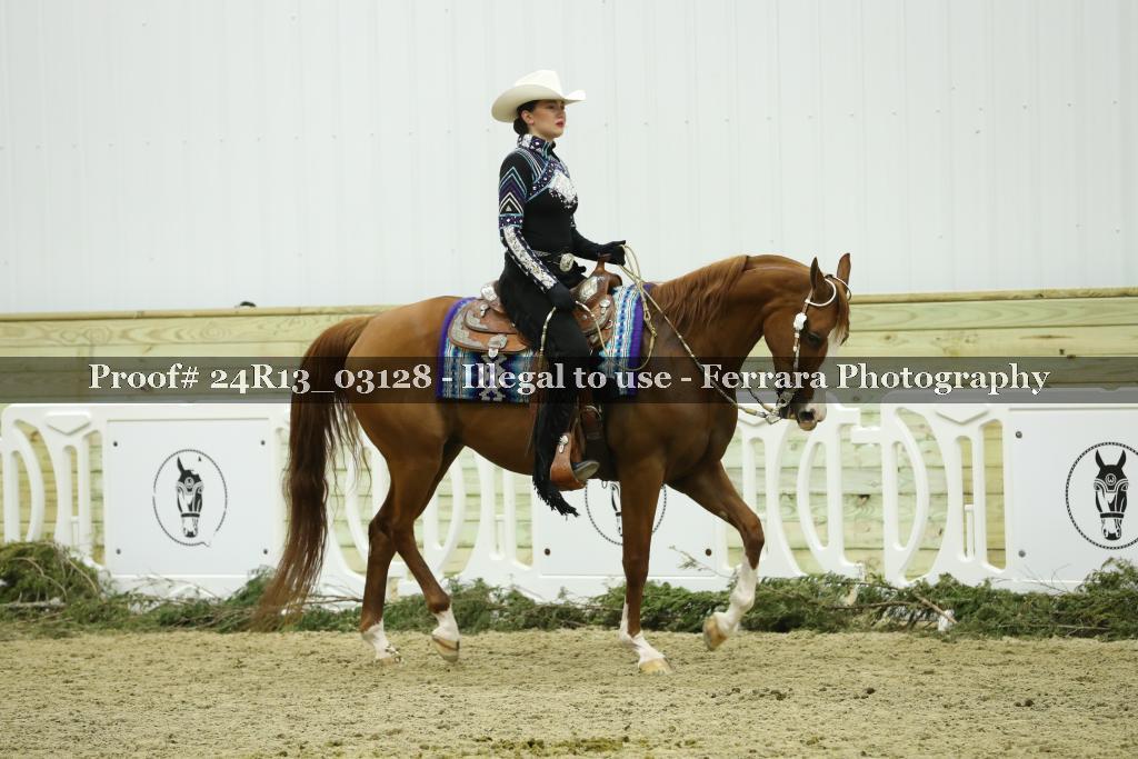 Proof 24R13_03128
