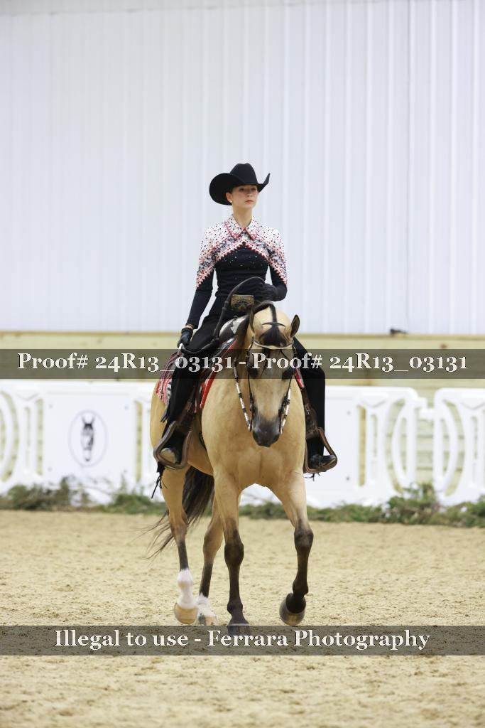 Proof 24R13_03131