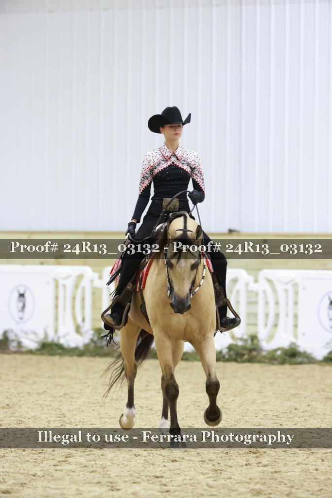Proof 24R13_03132