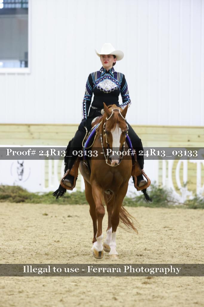 Proof 24R13_03133