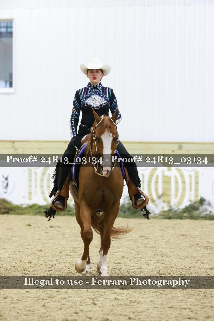 Proof 24R13_03134