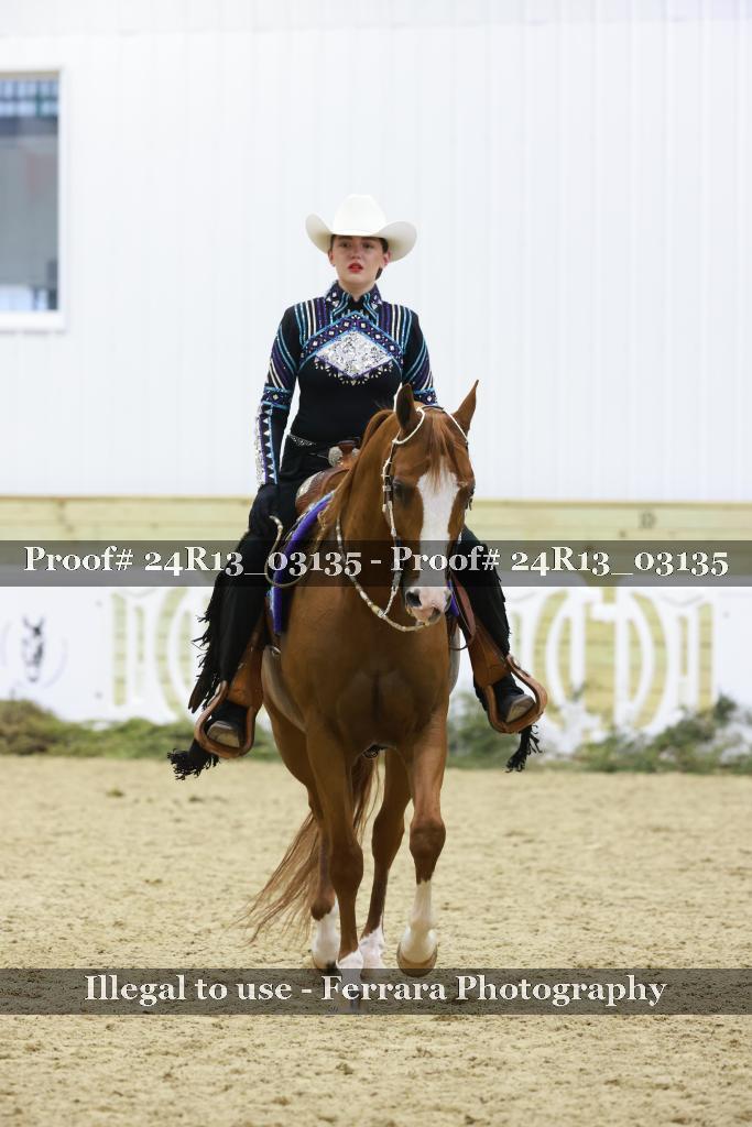 Proof 24R13_03135
