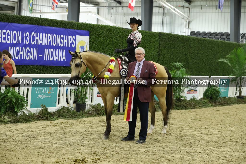 Proof 24R13_03140
