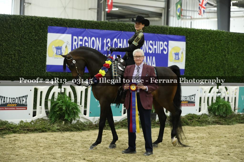 Proof 24R13_03145
