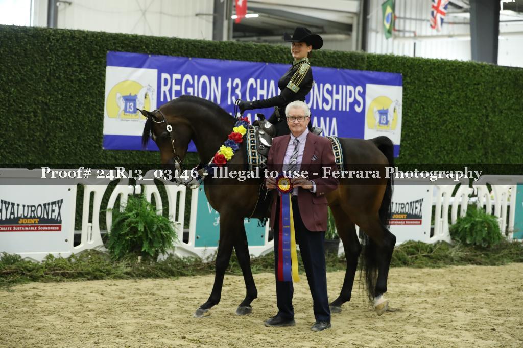 Proof 24R13_03146
