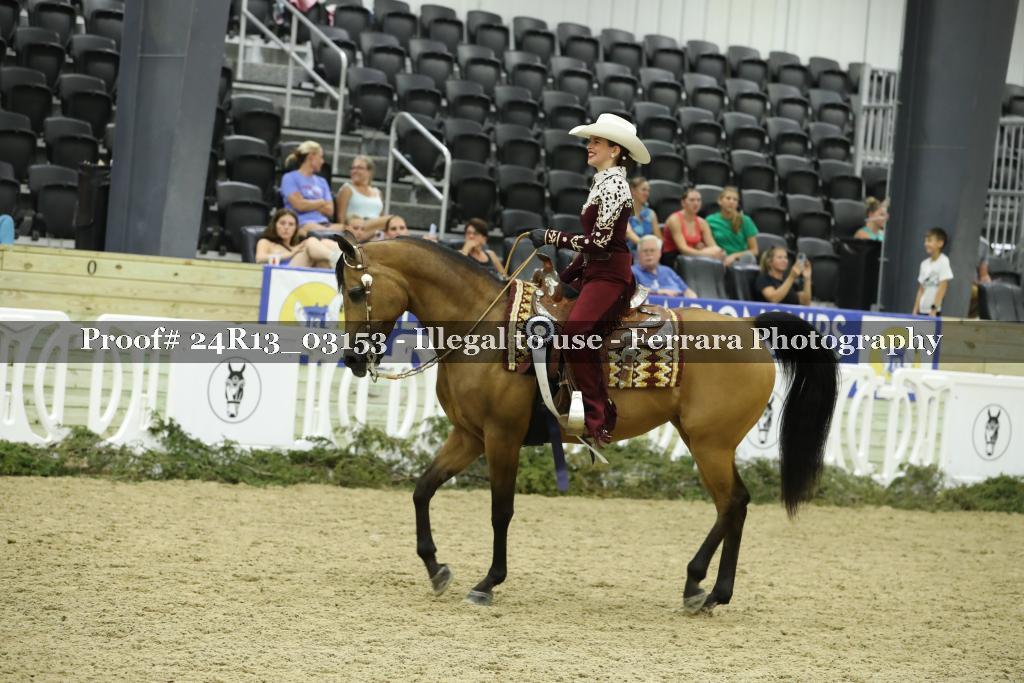 Proof 24R13_03153