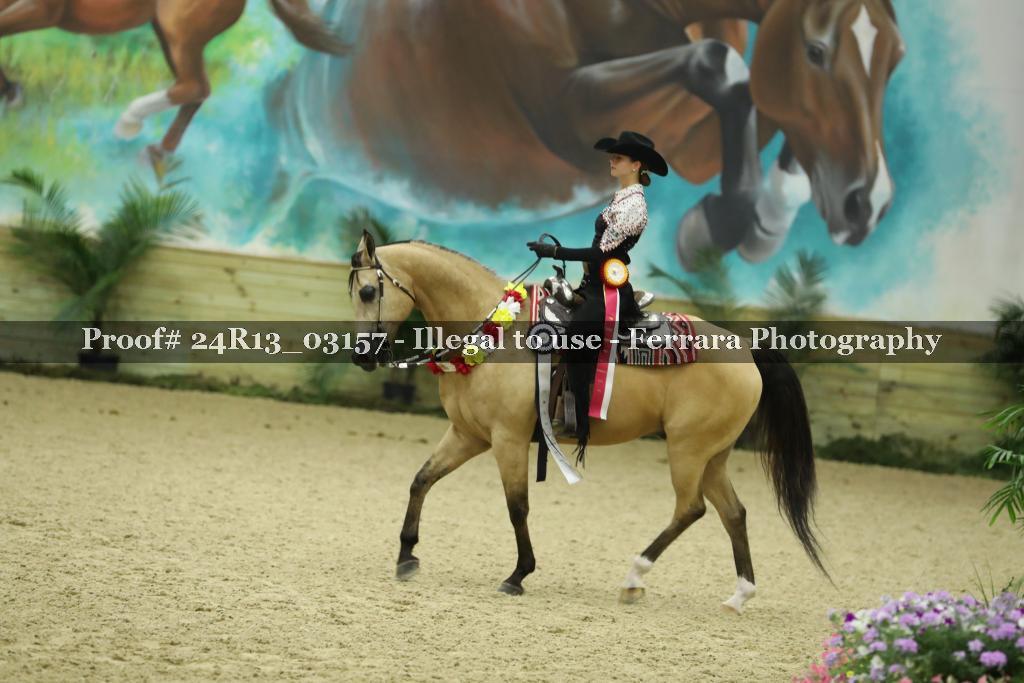 Proof 24R13_03157