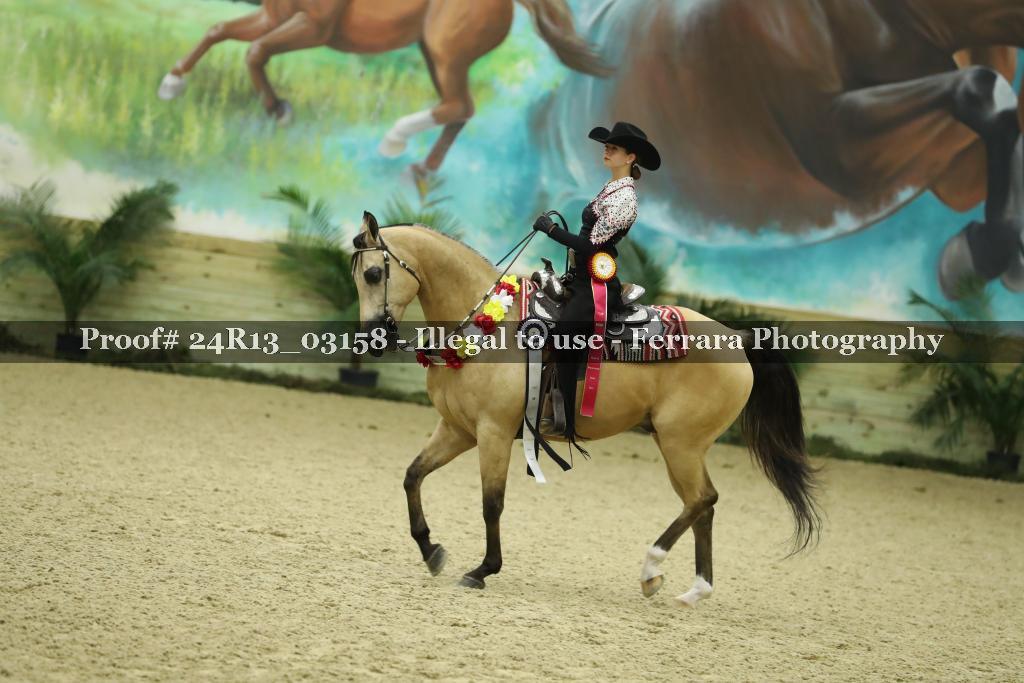 Proof 24R13_03158