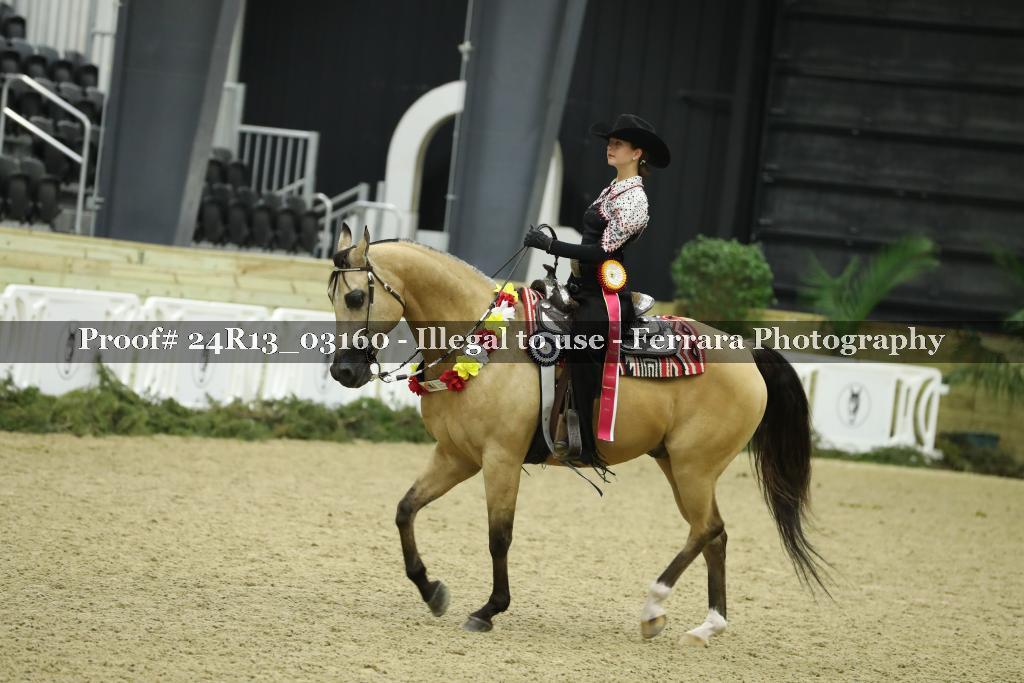 Proof 24R13_03160
