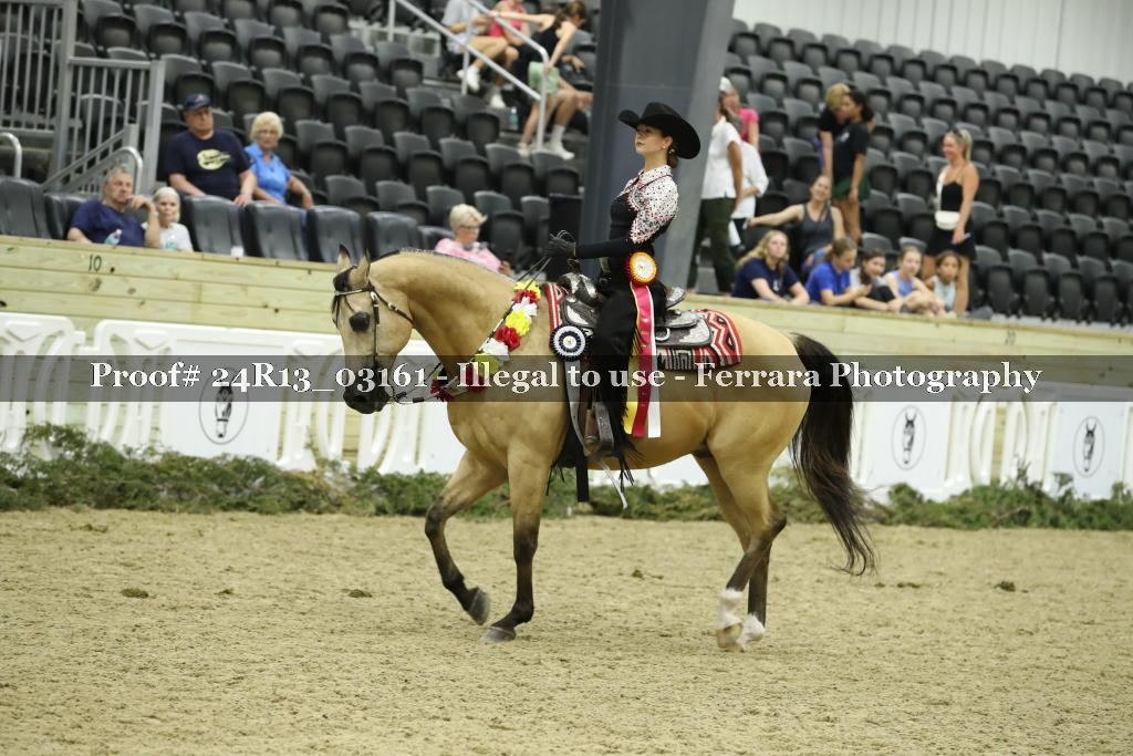 Proof 24R13_03161