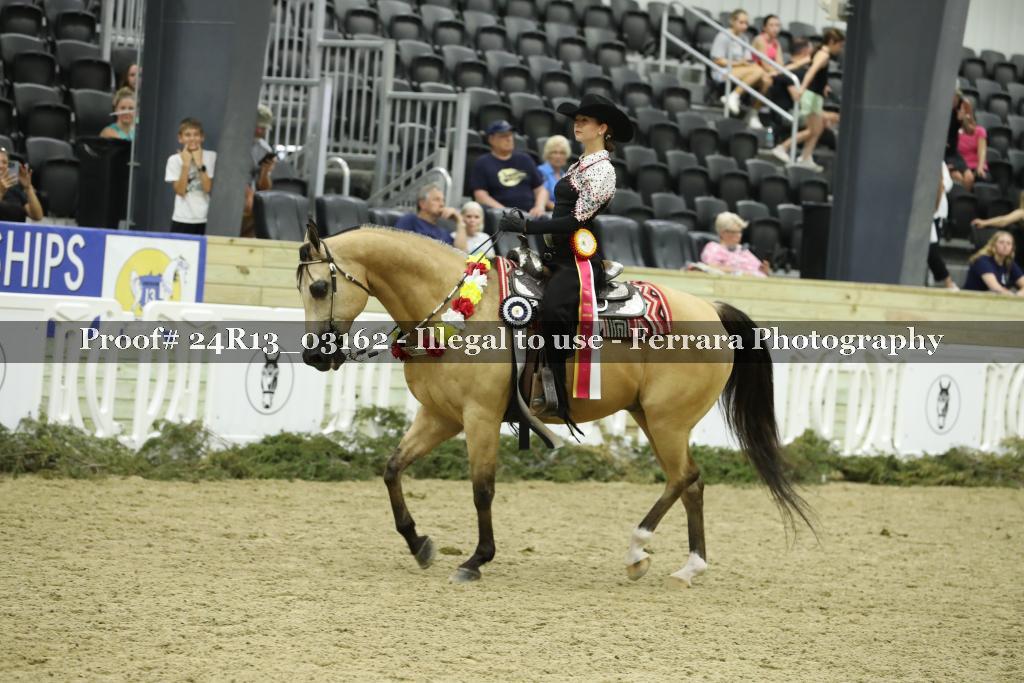Proof 24R13_03162