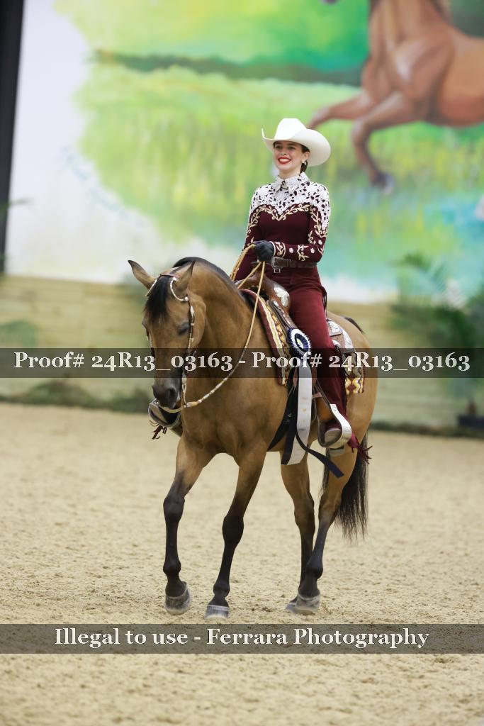 Proof 24R13_03163