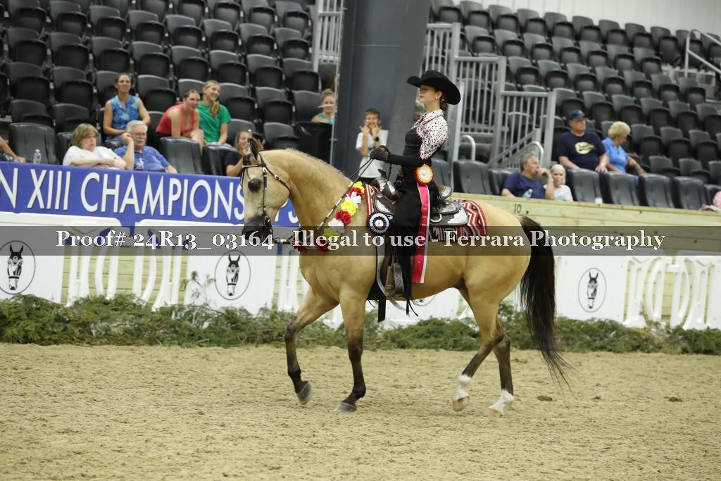 Proof 24R13_03164