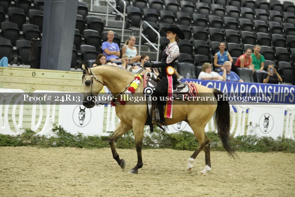 Proof 24R13_03166