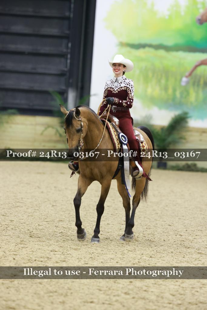 Proof 24R13_03167