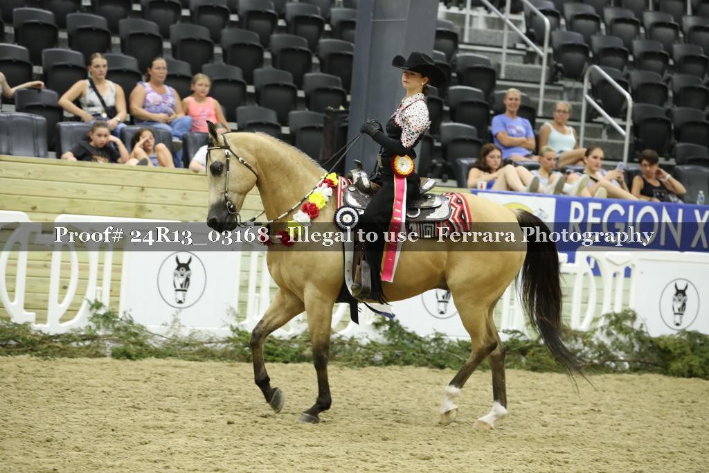 Proof 24R13_03168