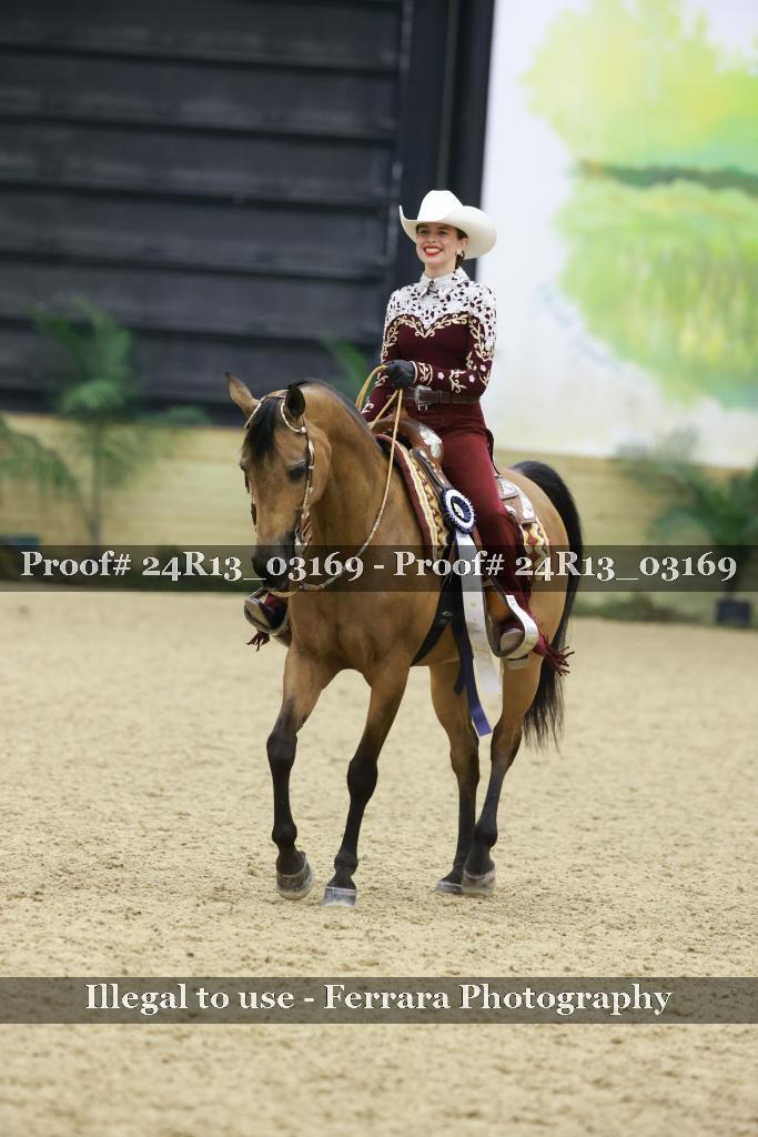 Proof 24R13_03169