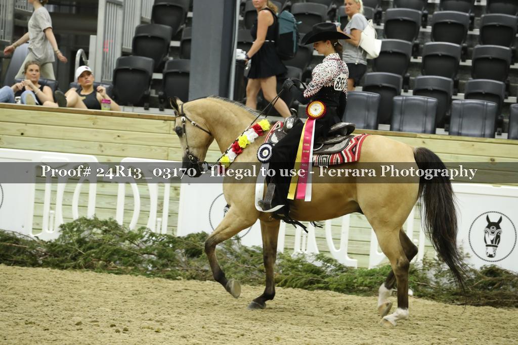 Proof 24R13_03170