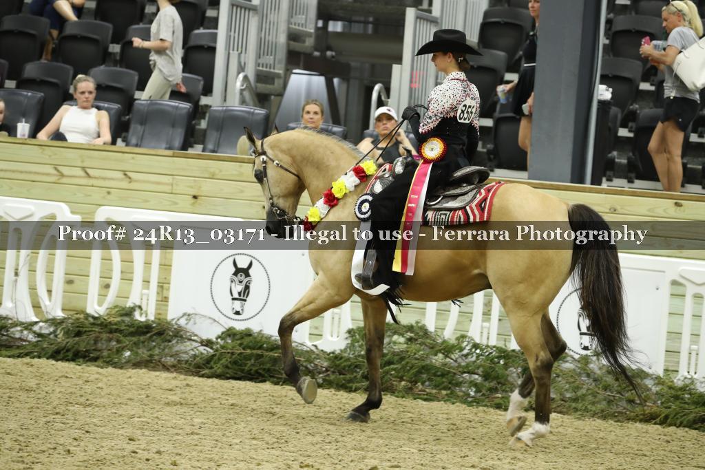 Proof 24R13_03171
