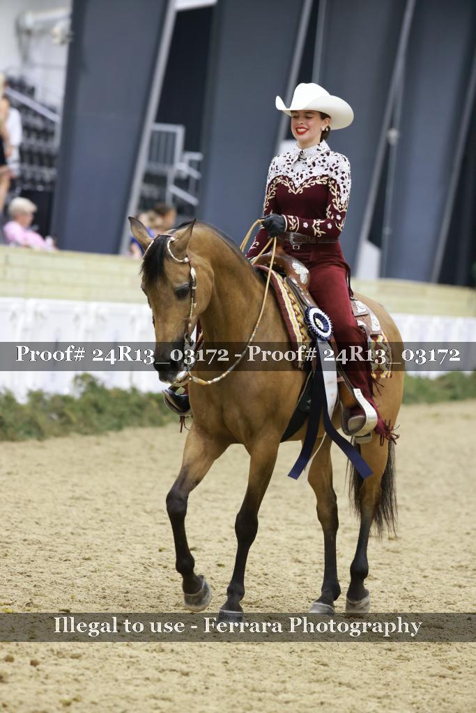 Proof 24R13_03172