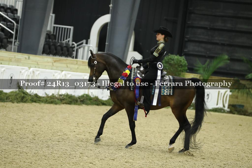 Proof 24R13_03173