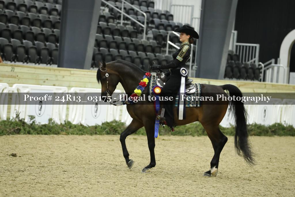 Proof 24R13_03175