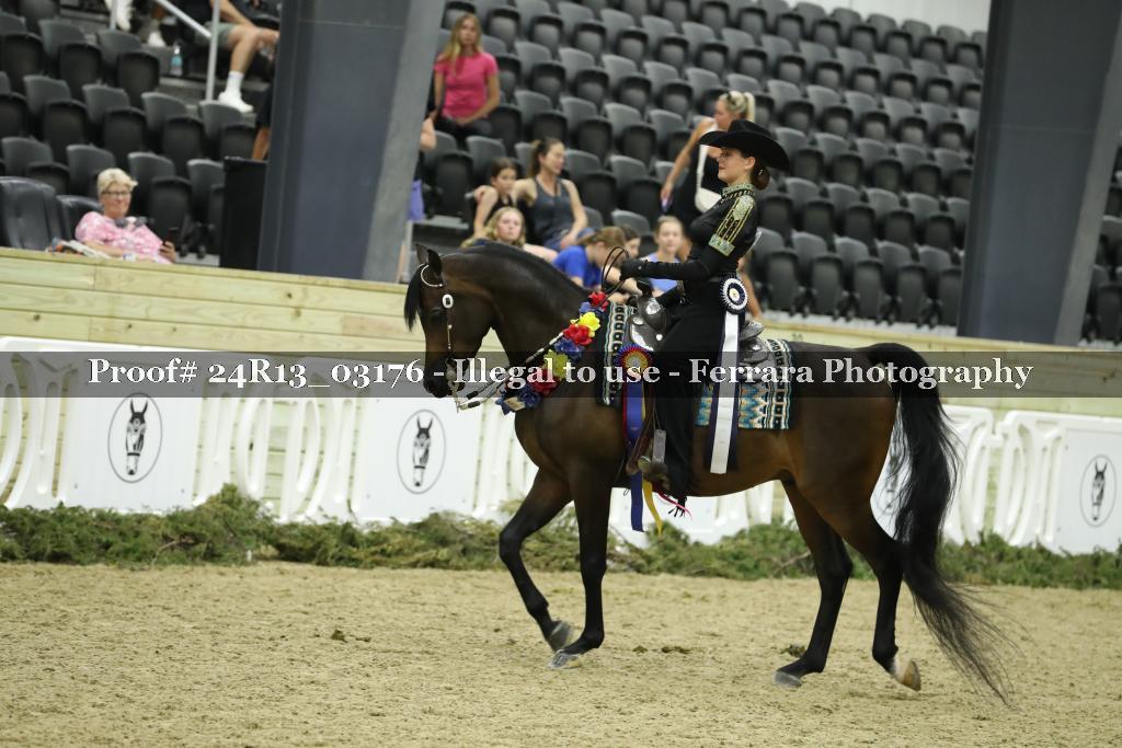 Proof 24R13_03176