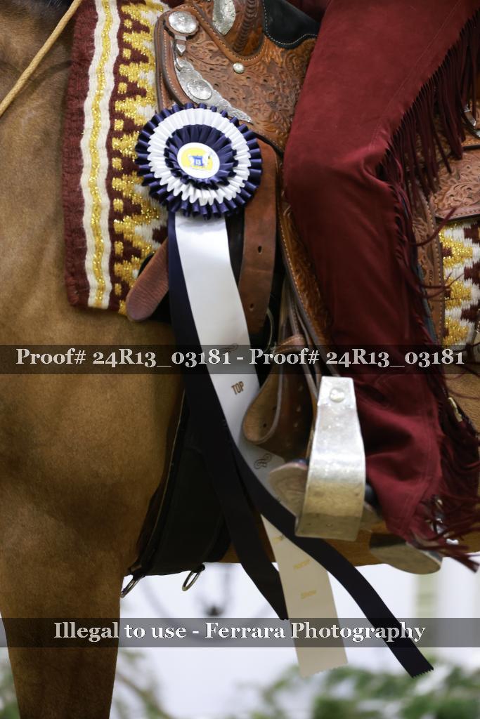 Proof 24R13_03181