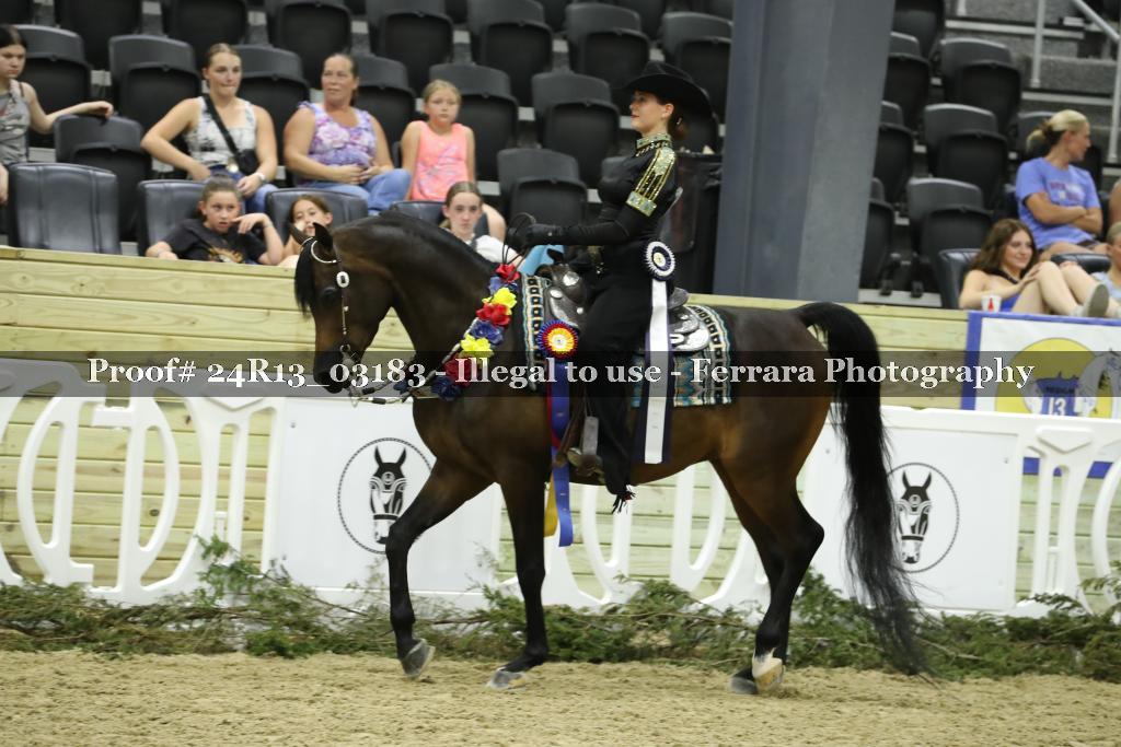 Proof 24R13_03183